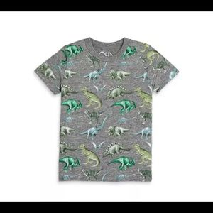 Chaser dinosaur tee NWT